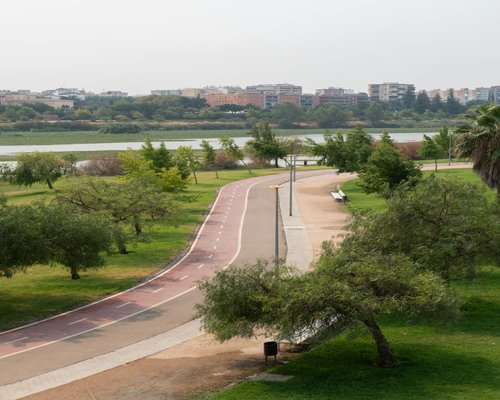 Paved cycling path winding through a large green urban park